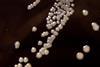 Bordetella_pertussis_on_Charcoal_Agar_supplemented_with_Cephalexin_-_Detail