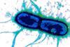 Low-Res_Fleckenstein_ETEC