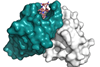 Low-Res_malaria antibody