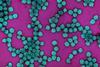 Colorized_electron_micrograph_of_HPV_virus_particles_(teal)