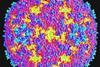 Enterovirus_71_(8405362662)