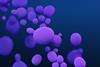 23239_lores