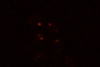Mars yeast