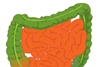 Intestine_-_sized