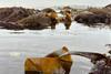 Low-Res_IMG_7271-original_NvonPossel_MPIMM copy