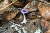 Low-Res_2024-05-01 12.43.06