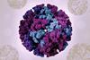 3D_renderings_of_chikungunya_virus-like_particles_(VLPs)_-_2