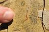 Low-Res_1 (5)
