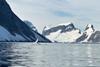 Low-Res_Whale