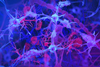 Low-Res_readhead-microglia-banner