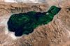 Algal bloom in Lake Pyramid USA