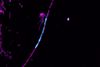 Low-Res_Picture-1