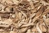 Dried_angelica_slices_(2)