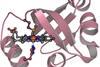 Low-Res_RcoM