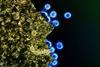 HIV_Virus_Particles_-_53567924670