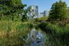 Ardea_cinerea_-_Grey_heron_-_in_a_pond_of_Busan_Citizens_Park_with_blue_sky_in_Busan_city_South_Korea