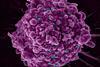 HIV_Virus_-_5412 (1)