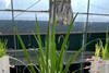 Low-Res_101425_WetlandsPFASRemoval