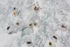 Low-Res_Fig 5 Ice Camp. Picture by Laura Halbach small