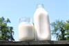 Raw_Milk_in_containers