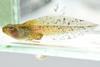 Low-Res_DSC_0741