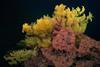 Low-Res_oo_1702426