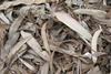 Ds100_~Leaf_Litter_In_Monochrome_(4384927207)