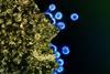 HIV_Virus_Particles_-_53567924670