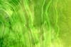 CyanobacteriaLamiot2009_07_26_234
