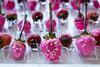 Low-Res_PHXPinkCoat_093025_ 125