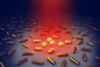 Low-Res_Nanorods_by_NC_Pavel_Travnicek-[fullsize] copy