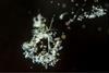 Low-Res_Picture 1