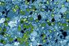 Mpox_Virus_081424