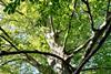 pexels-alireza-am-2149054085-34166066