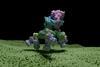 low-res (60)