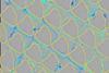 low-res (48)
