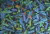 Low-Res_original(101)