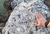Low-Res_kll-1