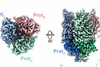 Low-Res_HERVKEnv_trimer (1)