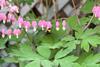 Low-Res_IMG_3964