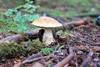 Low-Res_5031368547_f04ec665a1_b