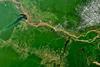 The_Amazon_rainforest_in_the_Para’_state_(Brazil)