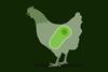 Low-Res_Chicken Graphic