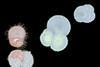 low-res (92)