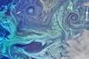 NASA_satellite_view_of_Southern_Ocean_phytoplankton_bloom_(crop)