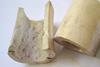 Cattle_bone_(7292654216)