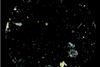 Screenshot 2026-10-06 at 14.04.50