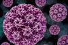 Human_Papillomavirus_(HPV)