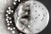 Bacteriophages_at_work