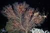 Low-Res_HIFMB_GE10-06_18_170115_kleiner (1)